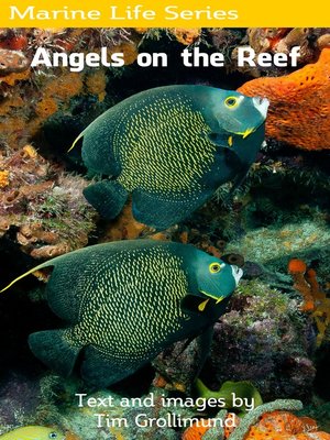 cover image of Angels on the Reef